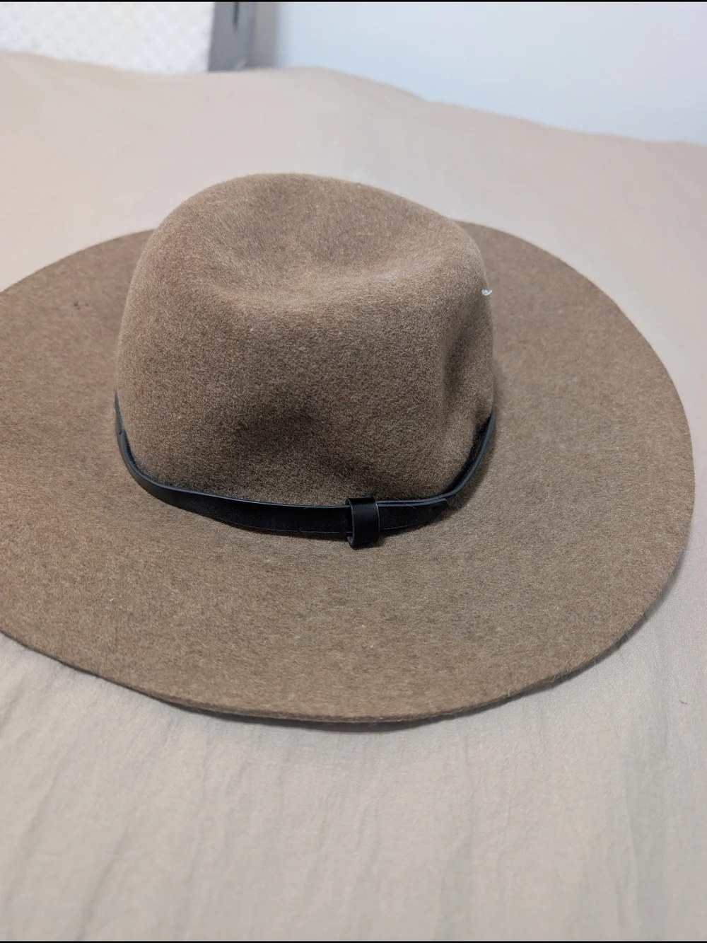 Wide Brim Felt Fedora Hat in Brown